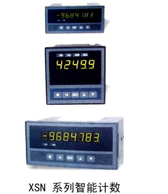 XSN/C-HS2T2K2B1S2C1V0计数器 工业计量中的精准之选